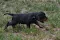 dsc_0113_800x536.jpg