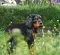 dsc_0118_1.jpg