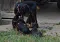 dsc_0119_800x555.jpg