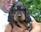 dsc_0119_800x627.jpg