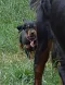 dsc_0126_612x800.jpg
