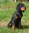 dsc_0130_709x800.jpg