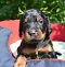 dsc_0150_1012x1024.jpg