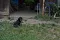 dsc_0166_800x530.jpg