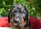 dsc_0171_1024x735.jpg