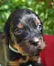 dsc_0185_833x1024.jpg