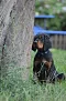 dsc_0194_530x800.jpg