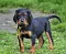 dsc_0279_2gelb.jpg