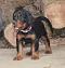 dsc_0279_762x800.jpg