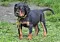 dsc_0280_2gelb.jpg