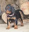 dsc_0280_725x800.jpg