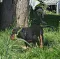 dsc_0484.jpg