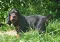 dsc_0533.jpg